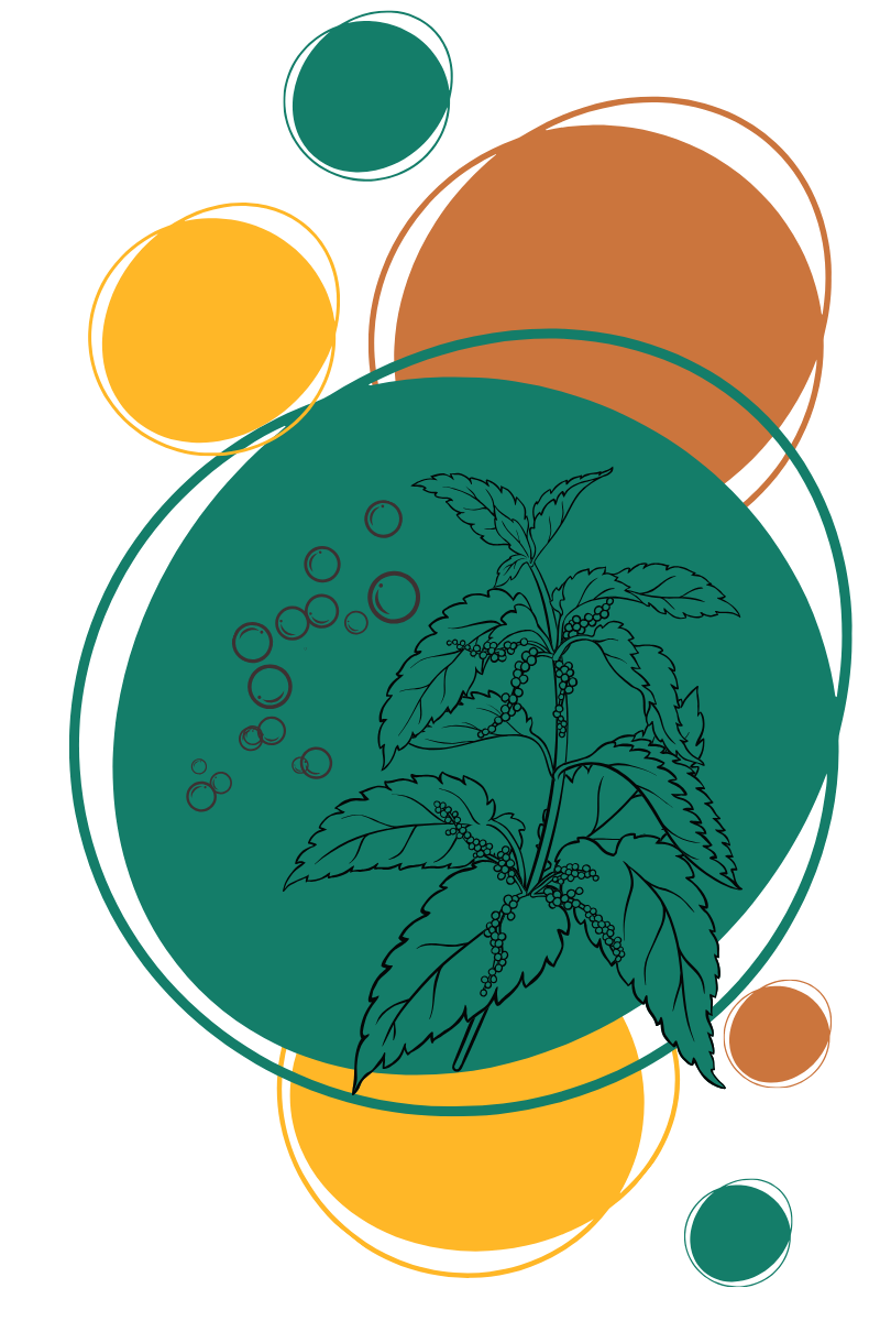 DE RETOUR EN BRETAGNE, LE D&Eacute;BUT D'UNE NOUVELLE VOIE...