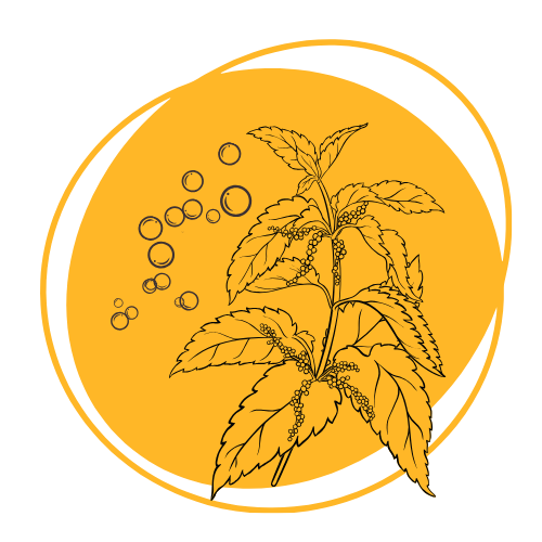 MAIS, AU FAIT, C'EST QUOI LA NATUROPATHIE ?